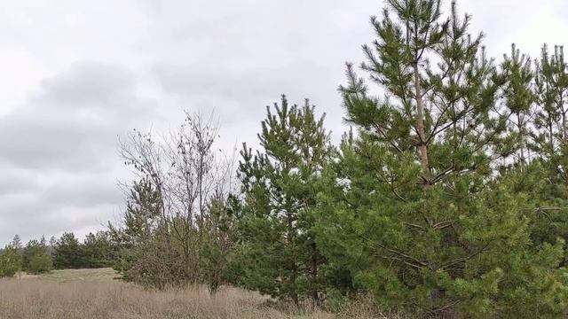 4 мая Светлый Вторник после Пасхи. День Иверской Иконы Божией Матери. Что нельзя делать. Традиции. смотреть онлайн