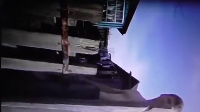 Размышления об алиментах 2 смотреть онлайн