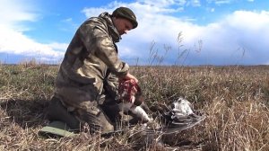 Как снять шкуру с гуся. Как разделать гуся на части.