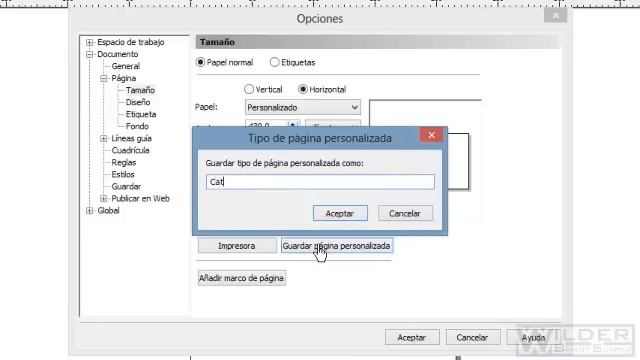 Clase 37 D. Crear libro o catálogo con Corel Draw X3 смотреть онлайн