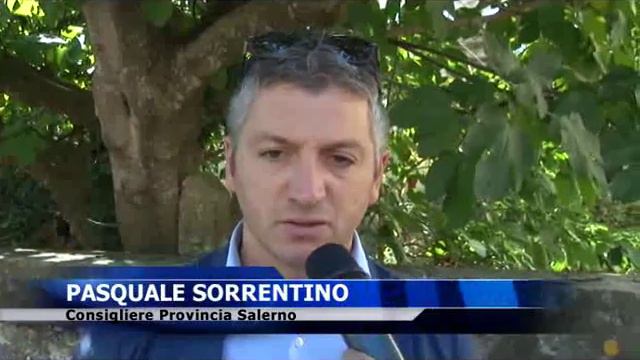 CONSEGNA LAVORI STRADA VIBONATI 9OTT смотреть онлайн