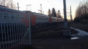 «На закате!»  Электропоезд ЭД4М-0255 на станции Старый Петергоф