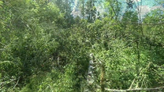 Тест камеры в полевых условиях №2 1080p 60FPS смотреть онлайн