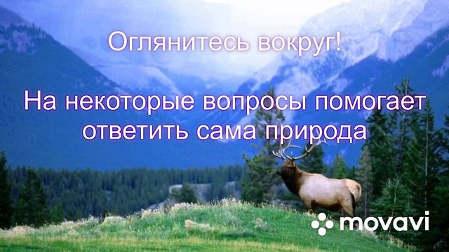 Во всём есть смысл смотреть онлайн