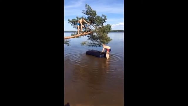 Прикол) белка и матрас смотреть онлайн