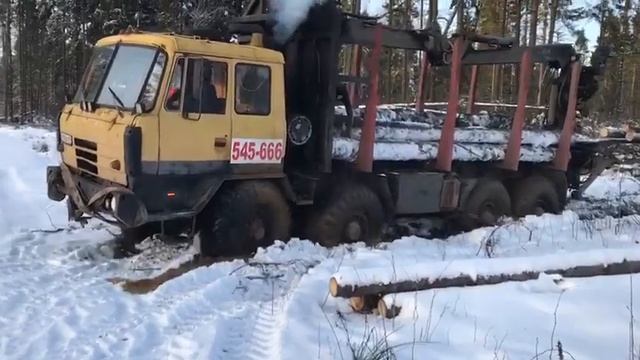 Tatra 8x8 лесовоз. смотреть онлайн