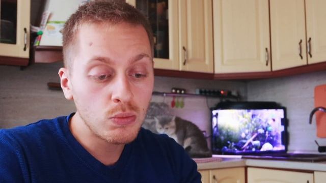 Акне - чёрные точки у кошки? Не загребает в лотке? Почему кот похудел, а уличный котенок кусается? смотреть онлайн