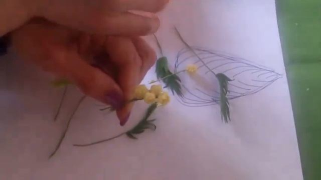 Мимоза из зефирного фоамирана Часть 2 смотреть онлайн