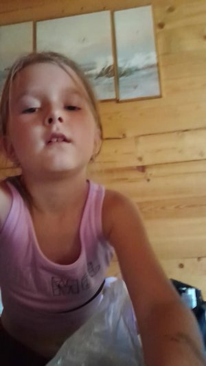 все игрушки