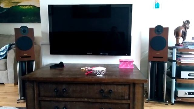 Usher audio 6300 Speaker test смотреть онлайн