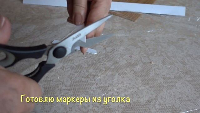 Перевалка ПЕТУНИЙ в грунт / Почвоулучшитель ЦеоФлора смотреть онлайн