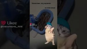 VID-20240304-WA0015.mp4