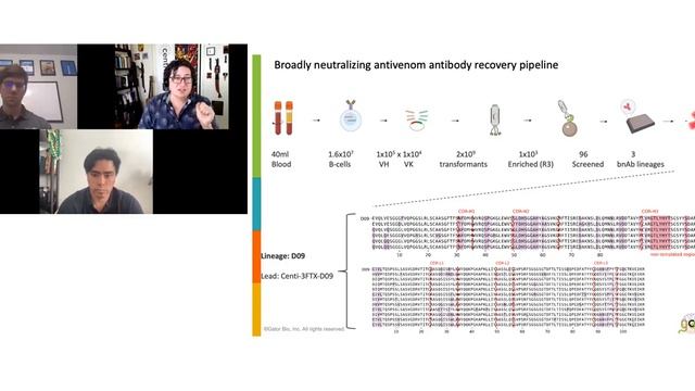 Centivax talk on the use of Next-gen BLI for screening neutralizing antibodies смотреть онлайн