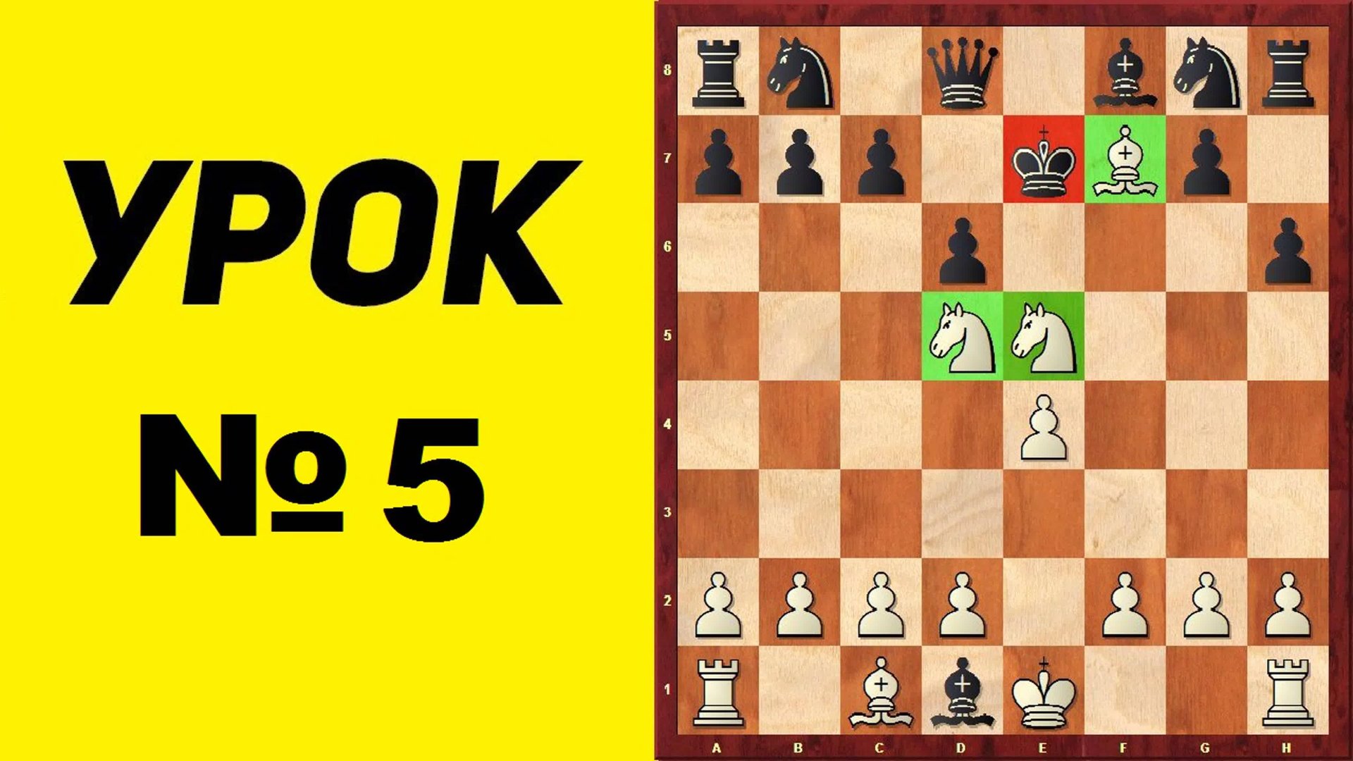 Шахматы для начинающих. Урок 5. Школа шахмат d4-d5. смотреть онлайн
