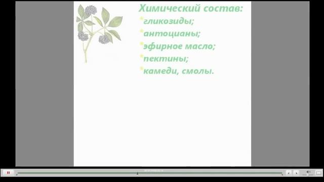 Элеутерококк Полезные свойства смотреть онлайн