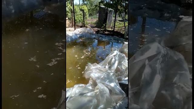 прудик с карасями на дачном участке смотреть онлайн
