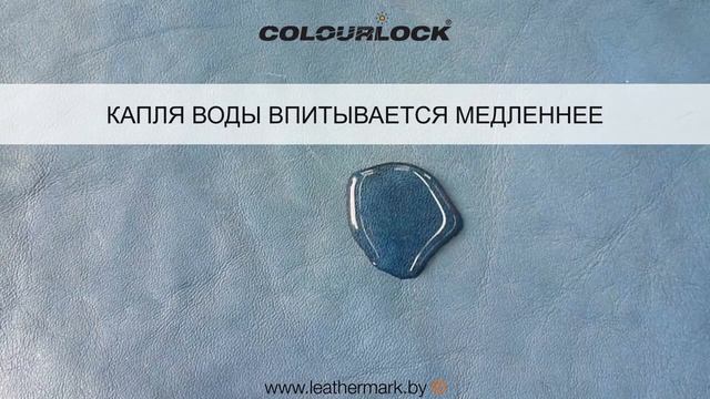 Виды кожи – способность кожи впитывать влагу | COLOURLOCK