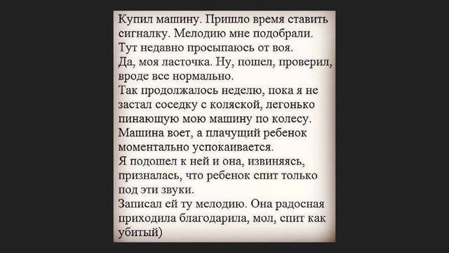 Мой сын Пажилой Гибон. Скрины #1 смотреть онлайн
