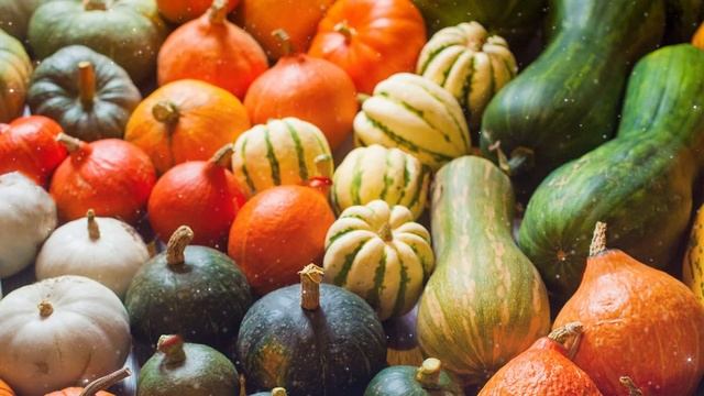 How To Celebrate Samhain Altar & Ritual Ideas - Wheel of the Year - Witchcraft - Magical Crafting смотреть онлайн