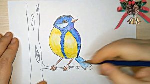 Как нарисовать синицу просто