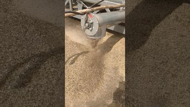 Работа передвижной зерноочистительной машины смотреть онлайн