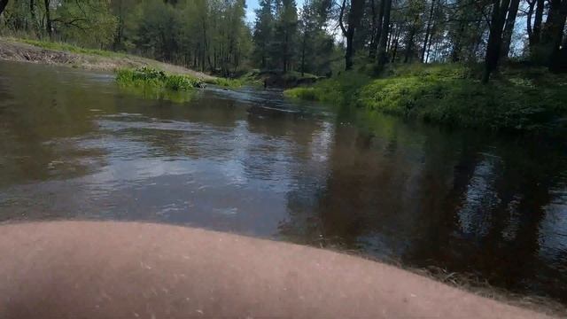 Река Ислочь, вблизи Ракова. Минский поп-маршрут. Сплав на каяках. смотреть онлайн