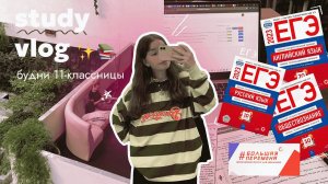 study vlog: будни в 11 классе, учеба в библиотеке, егэ, всош и большая перемена ♡