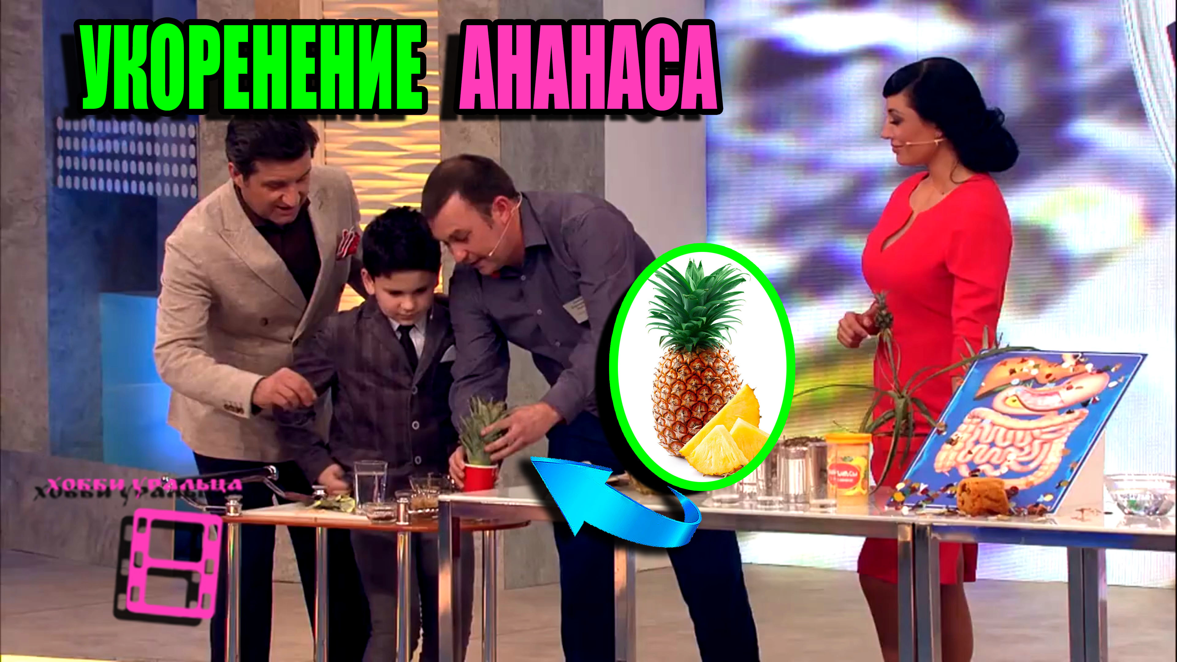 ХОББИ УРАЛЬЦА - ЭКЗОТИКА НА ПОДОКОННИКЕ