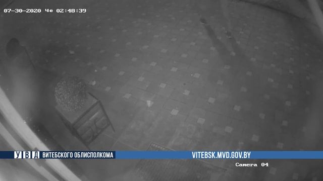 Пьяная выходка оршанцев обернулась уголовным делом смотреть онлайн