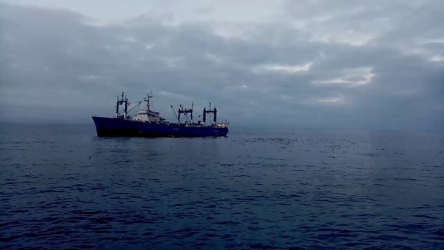 ЮВ_четвёртый vs Pink Floyd.mp4