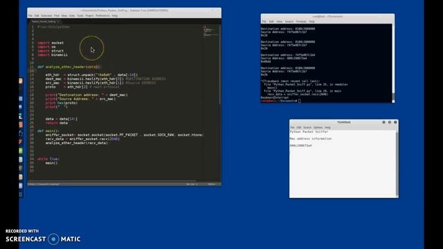 Python Packet Sniffer смотреть онлайн