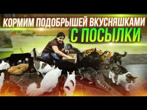 Распаковываем посылки-вкусняшки хвостикам. Отдельно кормим характерных. Милу забрала жить домой!