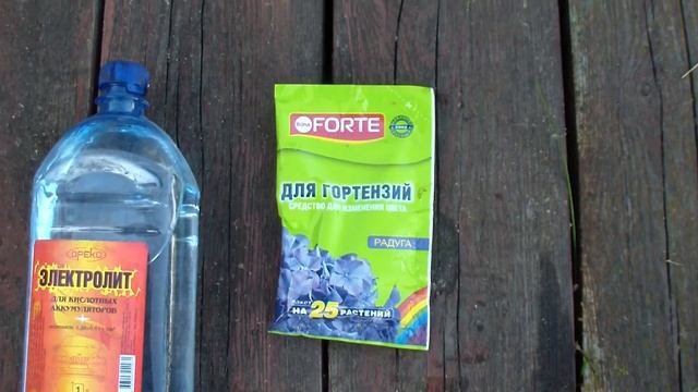 Как сделать гортензию голубой! смотреть онлайн