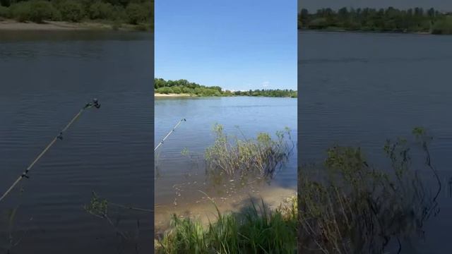 Рыбалка на соже 2023 смотреть онлайн