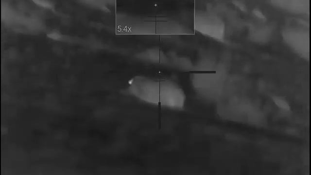 Стая волков. Добыл двоих смотреть онлайн