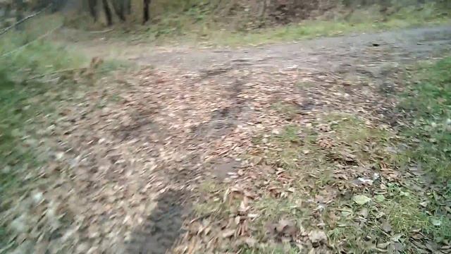 МЕДВЕДИЦА В Аткарске.Поехали на рыбалку!!! смотреть онлайн