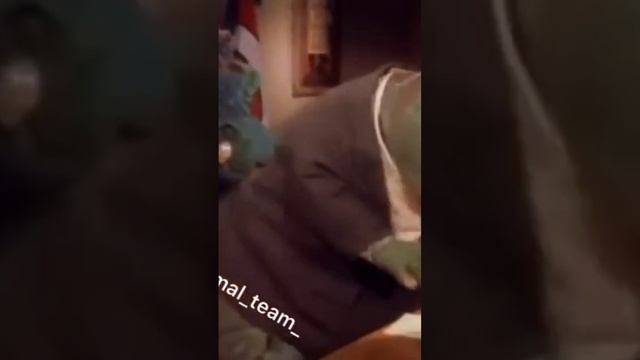 четки из мякиша хлебного смотреть онлайн