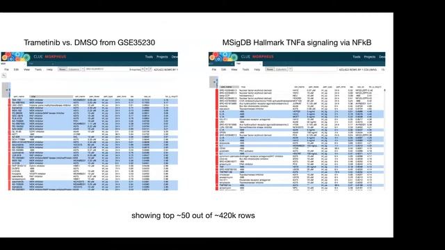 Hands-On Workshop: Data, Tools, and Workflows for CMap analysis | LINCS Virtual Symposium 2020 смотреть онлайн