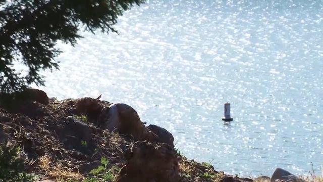 Gunlock State Park 2019 смотреть онлайн