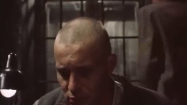 Соучастники