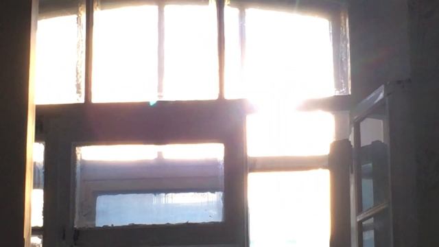 Питер ноябрь встретил солнышком смотреть онлайн