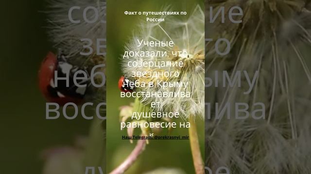 Путешествия по России смотреть онлайн