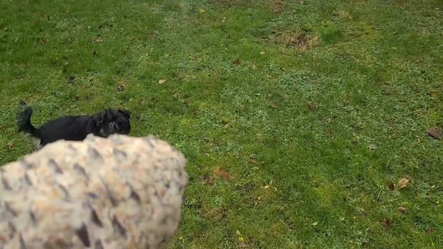 ВЛОГ с новым 2022ым годом! новогодние дни у нас? смотреть онлайн