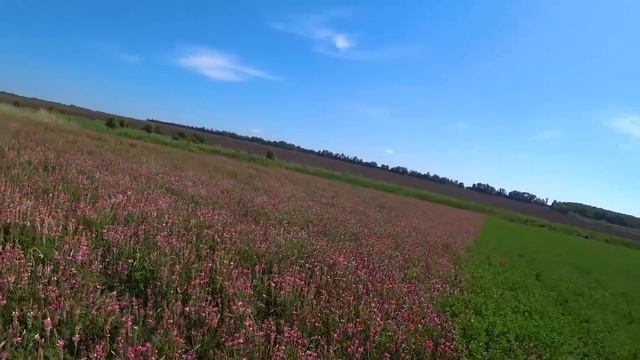 Покос 2020 | Модернизация косилки смотреть онлайн