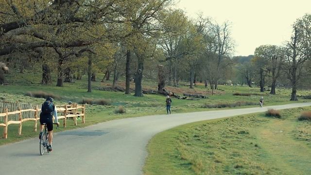 Richmond Park - The Largest Park in London - Richmond Park and its Deer Stags Antlers - London Vlog смотреть онлайн