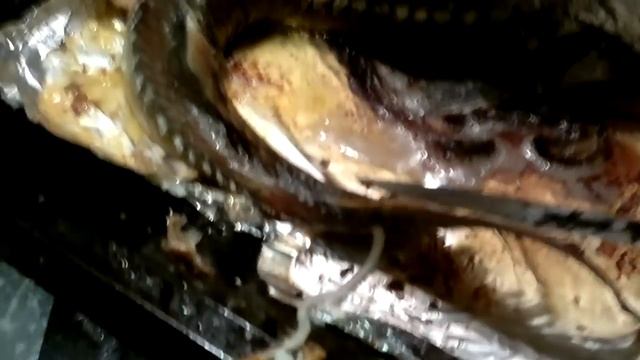 Хорда осетра смотреть онлайн