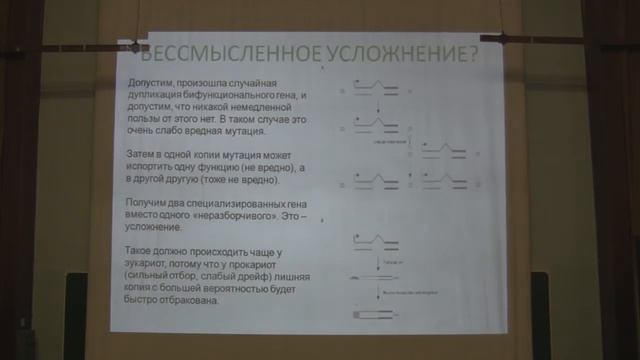 Теория эволюции. Марков А.В. Лекция 9. Часть 2.