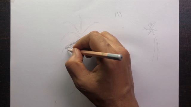 Drawing for Beginners - Step by Step | Day - 016 | How to draw Coconut Tree смотреть онлайн