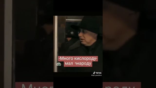 подборка пёс смотреть онлайн