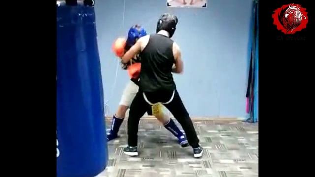 Бокс, Кикбоксинг. Тренировка. Спортклуб Феникс Гулькевичи. смотреть онлайн